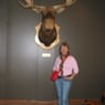 josie33