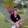 david62190
