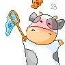 superchacha
