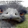 Baptiste0
