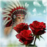 arlequine