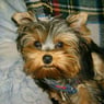 agnes029