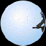 bribri601