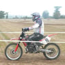 PAPAYOU14