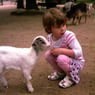 dede1954