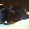 charlotte572