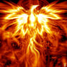 phoenix1381