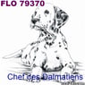 flo79370