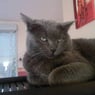 abby72