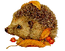 patapon