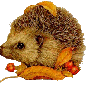 patapon