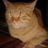 allan08