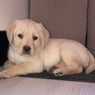 luna1997