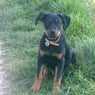sonia21700
