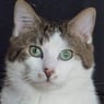 mimi632009