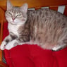 cathyeure