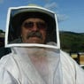abeille83