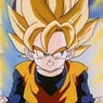 Sangoten71