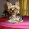lilou07700
