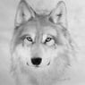 petitkillou