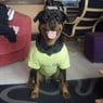 mascotte5700