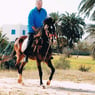 Ptiloupdu24