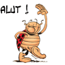 salies64