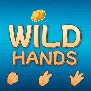 Matches amicaux à Wild Hands image