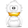 ckoinckoin06