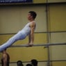 AlexLau8370