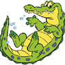 croko73