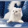 poulette50fr