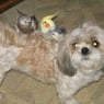 marie59760
