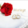 faflarage402