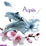 agnes57330