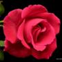 loana56