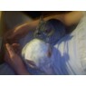 willou62
