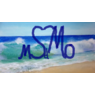 MSdMO