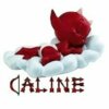 caline13700