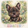 Skai19