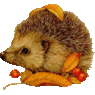 patapon