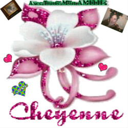 image of cheyenne06