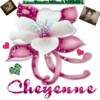 cheyenne06