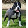 lOulOutte54