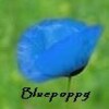 Bluepoppy68