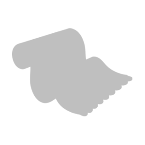 Guru