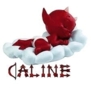 caline13140