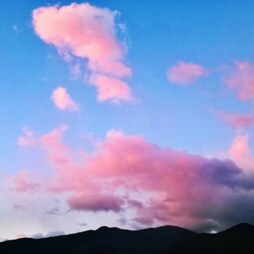 image of fripounette22